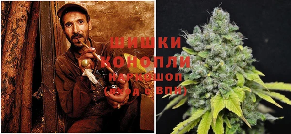 PSILOCYBIN Арсеньев