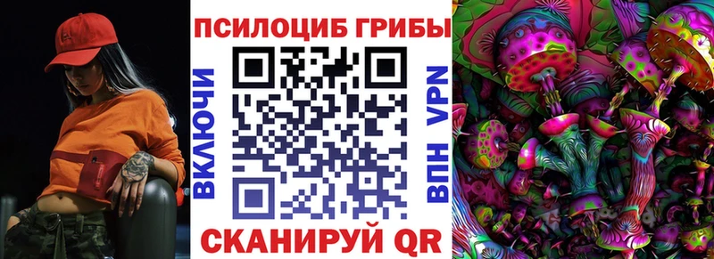 как найти наркотики Баксан Псилоцибиновые грибы GOLDEN TEACHER