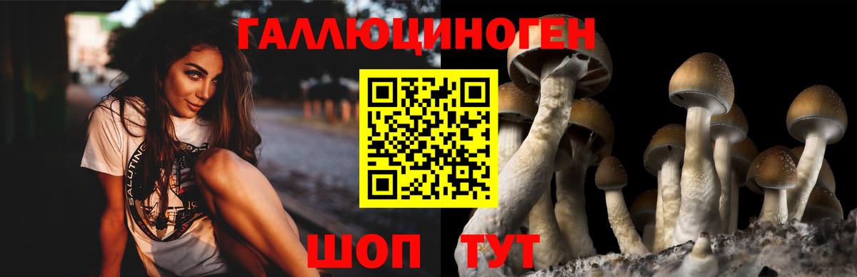 Галлюциногенные грибы ЛСД Баксан